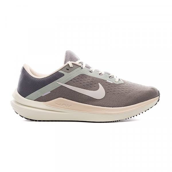 Кросівки чоловічі Nike AIR WINFLO 10 FN7499-029