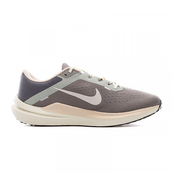 Кросівки чоловічі Nike AIR WINFLO 10 FN7499-029
