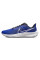 Кросівкичоловічі бігові  Nike Pegasus 39 DH4071-400