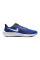 Кросівкичоловічі бігові  Nike Pegasus 39 DH4071-400