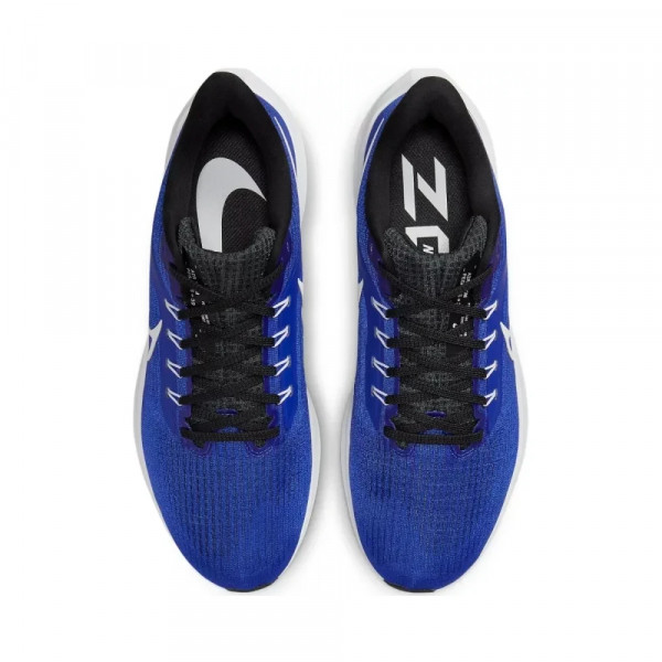 Кросівкичоловічі бігові  Nike Pegasus 39 DH4071-400