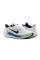 Кросівки чоловічі Nike AIR WINFLO 10 DV4022-103