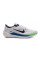 Кросівки чоловічі Nike AIR WINFLO 10 DV4022-103