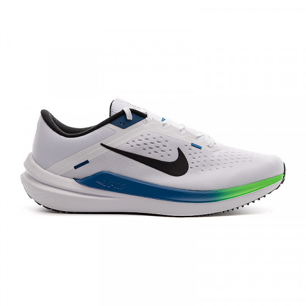 Кросівки чоловічі Nike AIR WINFLO 10 DV4022-103