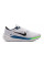 Кросівки чоловічі Nike AIR WINFLO 10 DV4022-103