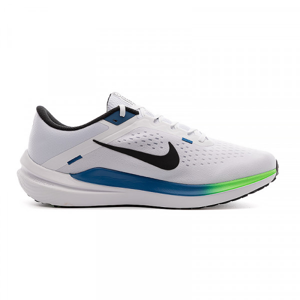 Кросівки чоловічі Nike AIR WINFLO 10 DV4022-103