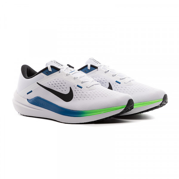 Кросівки чоловічі Nike AIR WINFLO 10 DV4022-103