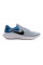 Кросівки чоловічі Nike REVOLUTION 7 FB2207-402