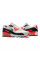 Кросівки чоловічі Nike Air Max 90 GTX FD5810-101