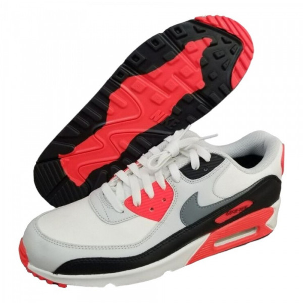 Кросівки чоловічі Nike Air Max 90 GTX FD5810-101
