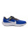 Кросівки чоловічі бігові Nike AIR ZOOM PEGASUS 40 DV3853-401