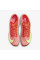 Кросівки Nike AIR ZOOM MAXFLY 2