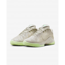 Кросівки чоловічі Nike LEBRON XXII FZ1094-002