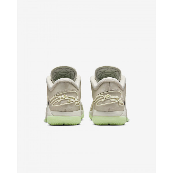 Кросівки чоловічі Nike LEBRON XXII FZ1094-002