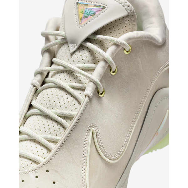 Кросівки чоловічі Nike LEBRON XXII FZ1094-002