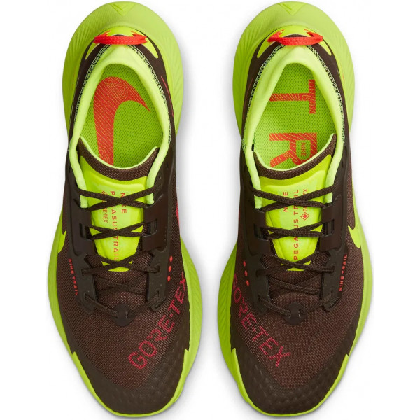 Кросівки жіночі Nike Pegasus Trail 3 Gore-Tex Black/Green DO6728-200