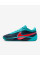 Кросівки чоловічі Nike GIANNIS FREAK 6 FJ7792-300