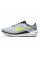 Кросівки Nike Winflo 10