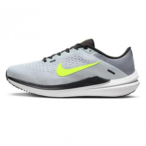 Кросівки Nike Winflo 10