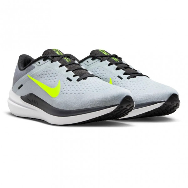 Кросівки Nike Winflo 10