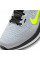 Кросівки Nike Winflo 10