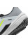 Кросівки Nike Winflo 10