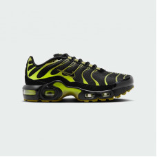 Кросівки жіночі  Nike Air Max Plus Grey CD0609-028