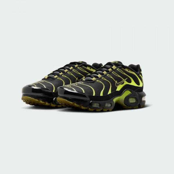 Кросівки жіночі  Nike Air Max Plus Grey CD0609-028