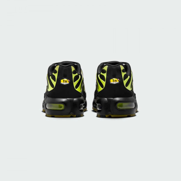Кросівки жіночі  Nike Air Max Plus Grey CD0609-028