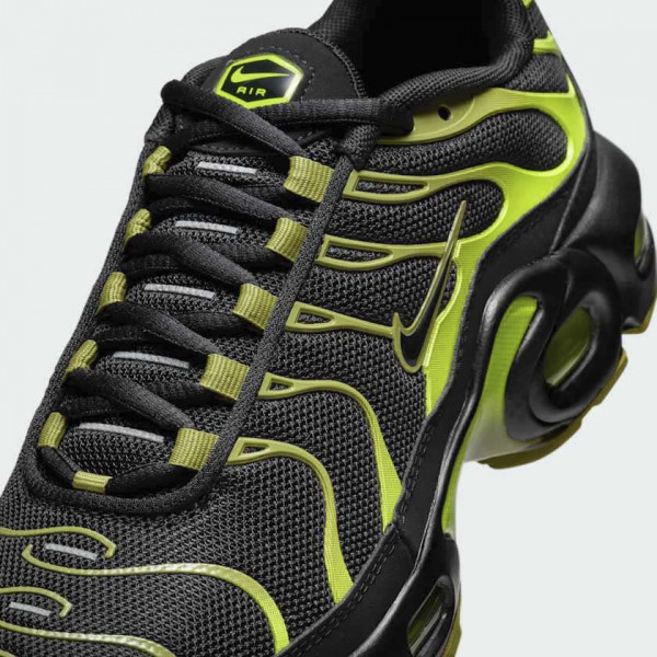 Кросівки жіночі  Nike Air Max Plus Grey CD0609-028