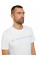 Футболка printed crewneck logo t-shirt 1030527XX1020000 Tom Tailor L Білий