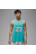 Майка чоловіча Jordan M ESS SUMMER JERSEY HF9375-392