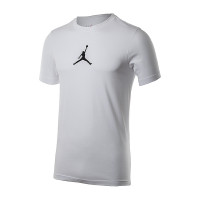 Футболка чоловіча JORDAN M J JUMPMAN DF SS CREW CW5190-102