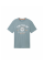 Футболка LOGO TEE MEN'S T-SHIRT 1037735-27475 Tom Tailor L Сірий