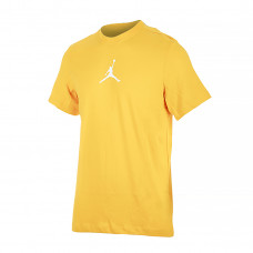 Футболка чоловіча JORDAN M J JUMPMAN DF SS CREW CW5190-752