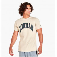 Футболка чоловіча Air Jordan Brand Holiday DV1433-206