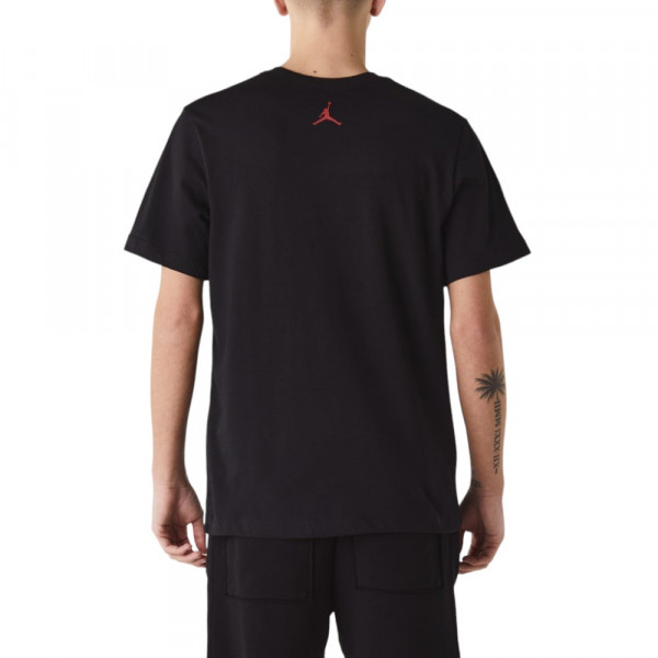 Футболка чоловіча Air Jordan Jordan Dri-Fit Sport Graphic T-Shirt Black FN5974-011