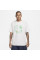 Футболка чоловіча Nike Acg Hike Snacks Dri-Fit Tee Beige Fruit FZ7205-121