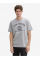 Футболка LOGO TEE MEN'S T-SHIRT 1037735-32917 Tom Tailor L Сірий