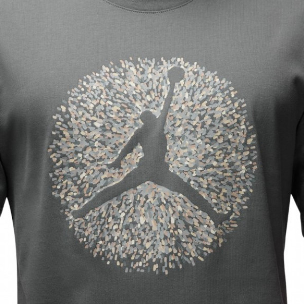 Футболка чоловіча Air Jordan M J Flt Ess Pool Ss Crew Grey FN6006-084