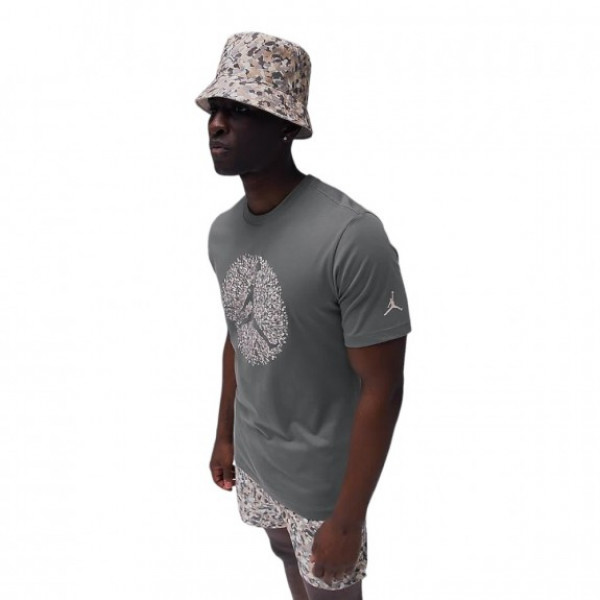 Футболка чоловіча Air Jordan M J Flt Ess Pool Ss Crew Grey FN6006-084