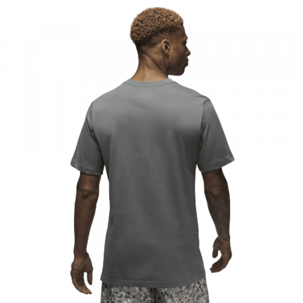 Футболка чоловіча Air Jordan M J Flt Ess Pool Ss Crew Grey FN6006-084