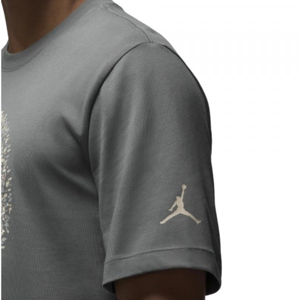 Футболка чоловіча Air Jordan M J Flt Ess Pool Ss Crew Grey FN6006-084