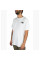 Футболка The North Face box tee cordovan