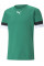 Футболка чоловіча спортивна Puma teamRISE Jersey зелений 704932-05