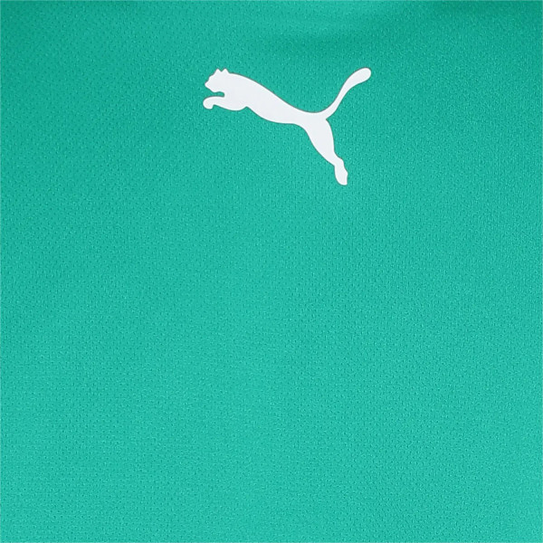Футболка чоловіча спортивна Puma teamRISE Jersey зелений 704932-05