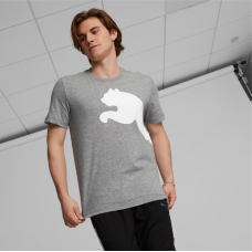 Футболка чоловіча Puma Essentials Logo Tee 678784-03