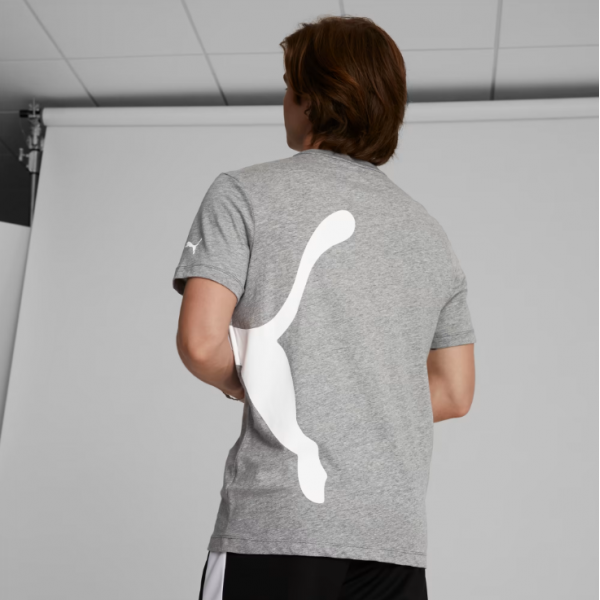 Футболка чоловіча Puma Essentials Logo Tee 678784-03