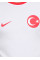 Футболка Nike TUR M NK TEE CREST