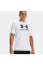 Футболка чоловіча Under Armour Sportstyle Logo 1329590-100